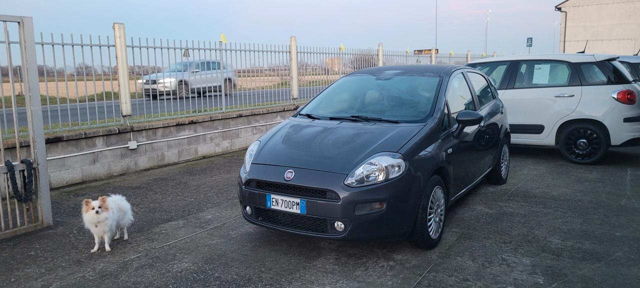 Fiat Punto Evo Punto Evo 1.3 Mjt 95 CV DPF 5 porte S&S Sport