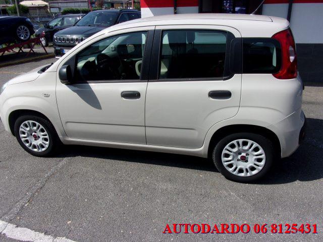 FIAT Panda 1.2 Easy BENZINA EURO 6 CON FINANZIAMENTO