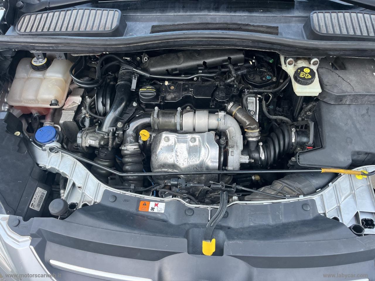FORD C-Max 1.6 TDCi 115 CV Plus