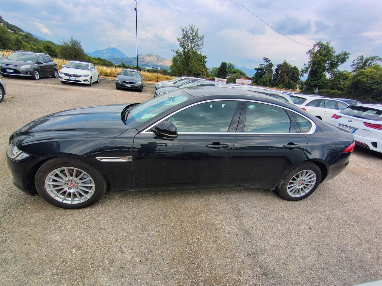 Jaguar XF aut. Portfolio (SOLO PER OPERATORI DEL SETTORE)