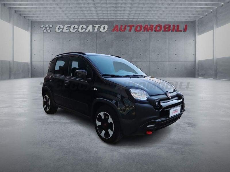 FIAT Panda Panda 1.0 firefly hybrid s&s 70cv 5p.ti