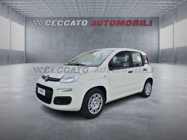 FIAT Panda Panda 1.0 70cv Hybrid Pop