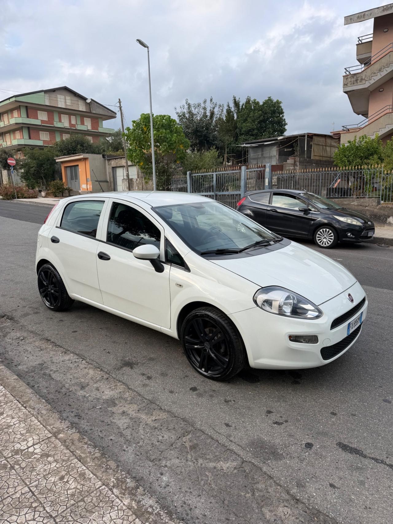 Fiat Punto 1.3 MJT II 75 CV 5 porte Street
