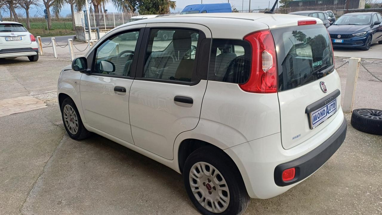 Fiat Panda 1.2 Easy SOLO 80MILA KM 2020