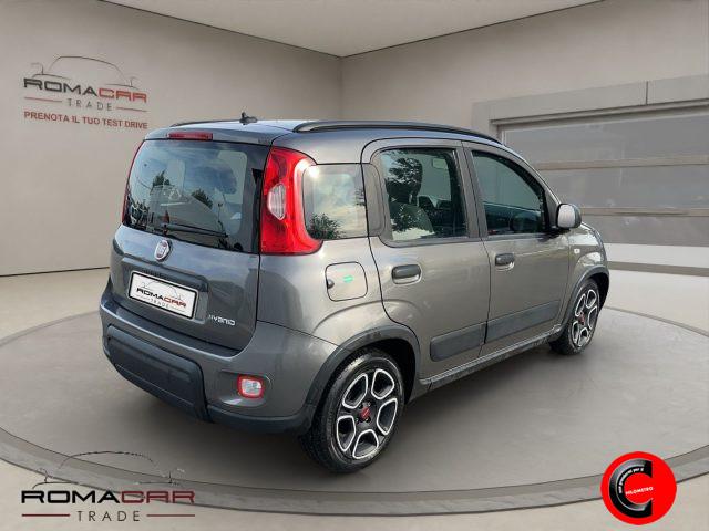 FIAT Panda 1.0 FireFly S&S Hybrid City Life VARI COLORI