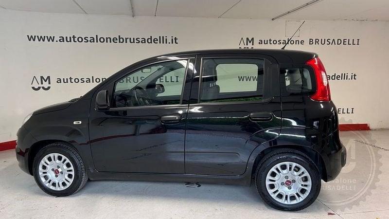 FIAT Panda Panda 1.0 FireFly S&S Hybrid 5 POSTI *PREZZO REALE*