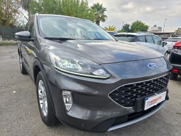 Ford Kuga 1.5 EcoBlue 120 CV aut. 2WD ST-Line X