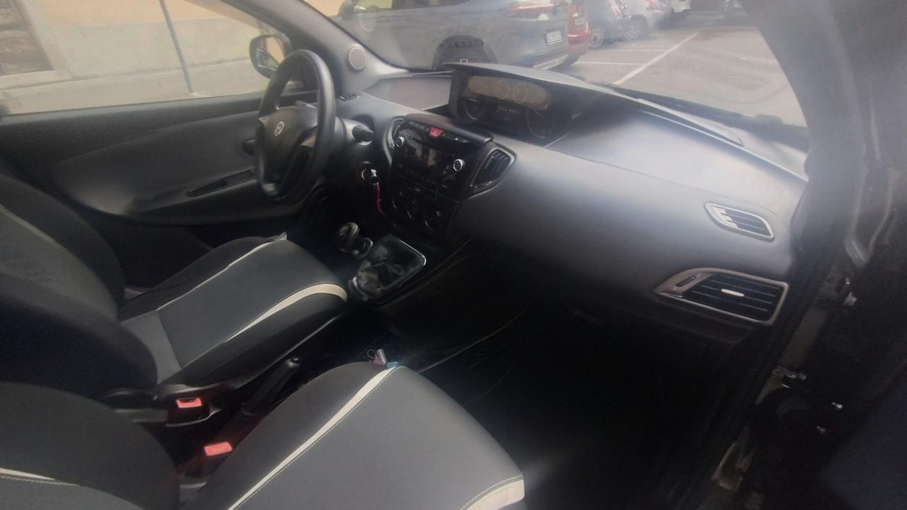 Lancia Ypsilon 1.2 69 CV 5 porte Elefantino NEOPATENTATI