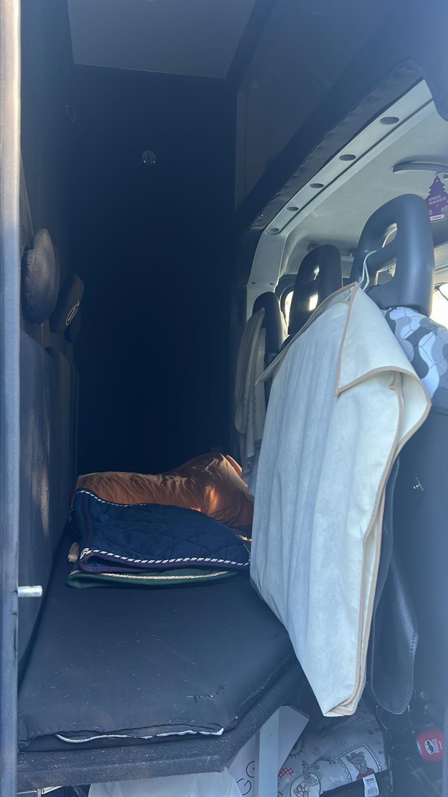 Iveco Daily 50 C11 trasporto per 3 cavalli patente B