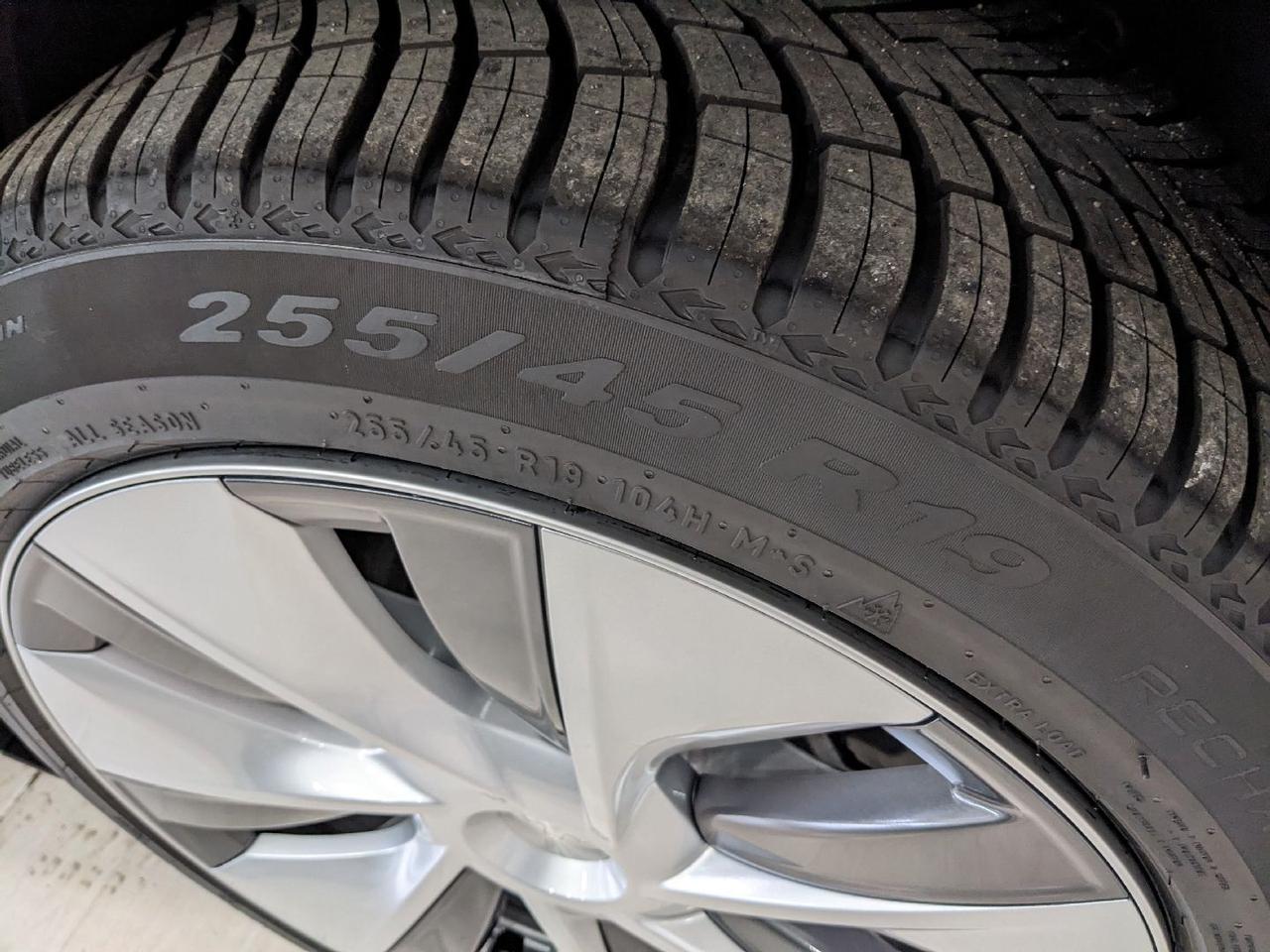 Tesla Model Y 440 cv Long Range Dual Motor Tetto Cruise adattivo