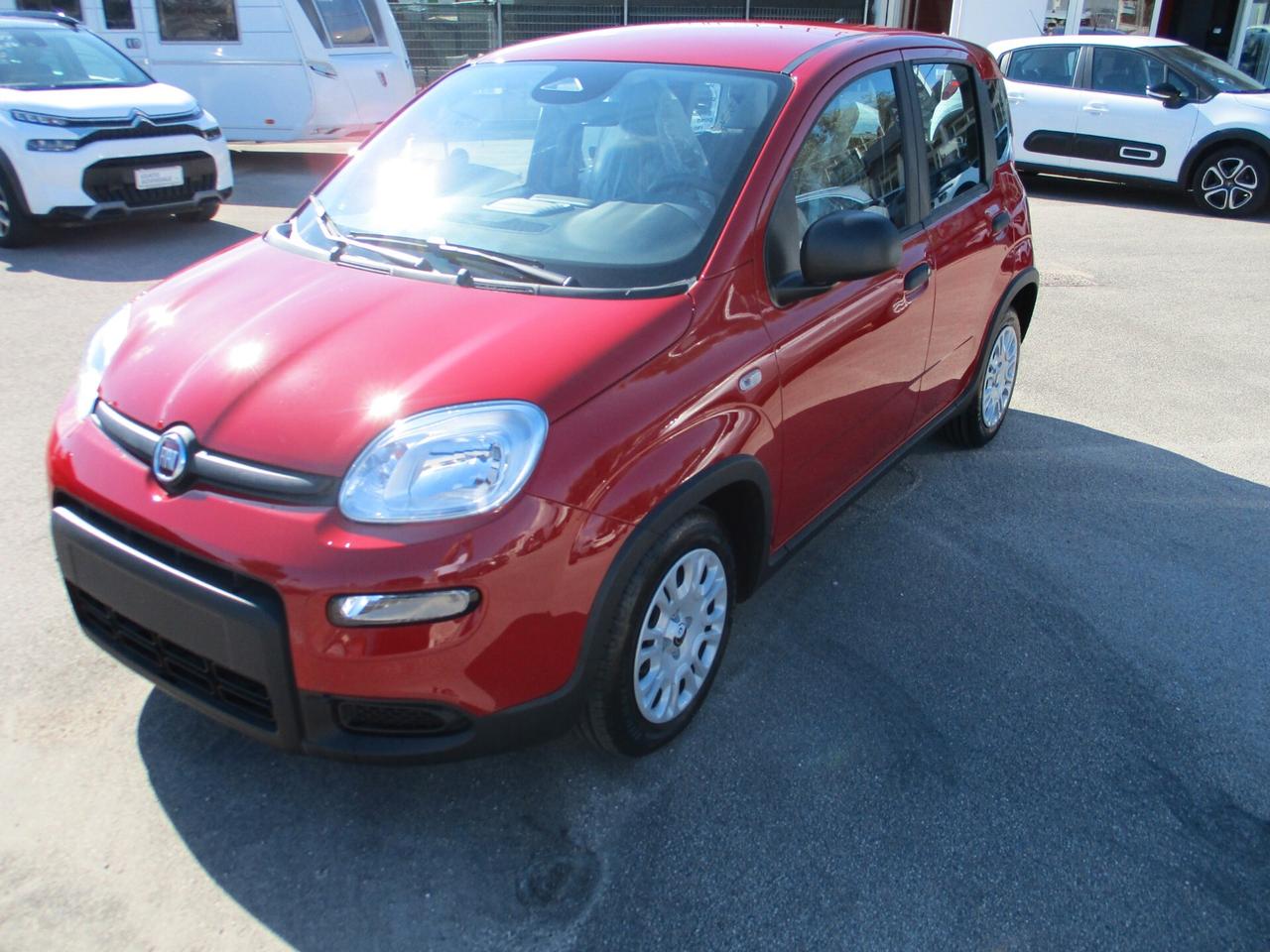 Fiat Panda 1.0 FireFly S&S Hybrid Pandina