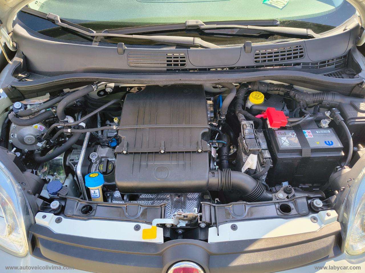 FIAT Panda 1.2 EasyPower City Life TAGLIANDI FIAT