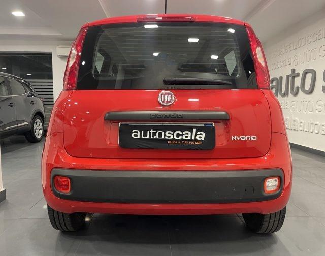 FIAT Panda 1.0 FireFly S&S Hybrid Easy