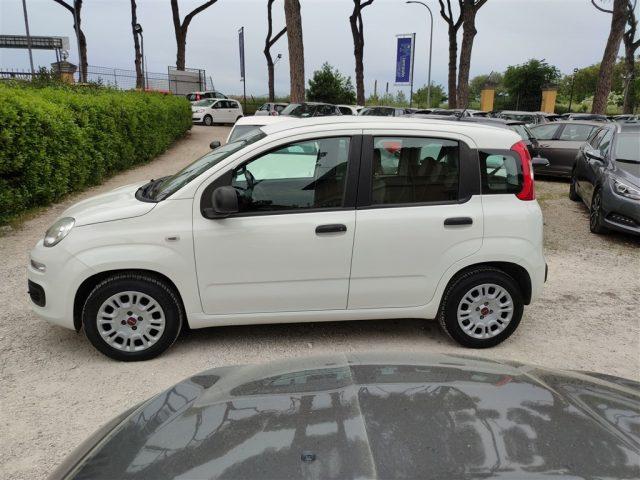 FIAT Panda 1.2 Easy CLIMATIZZATORE OK NEOPATENTATI ..