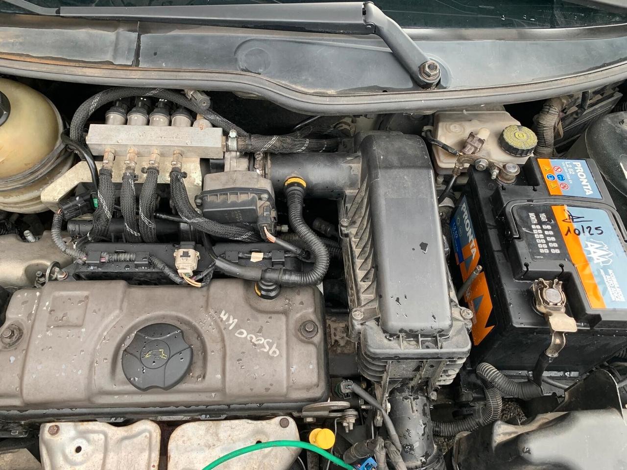 Peugeot 206 Plus 1.1 benz/gpl Neopatentati