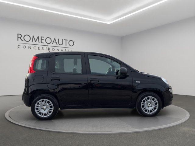 FIAT Panda 1.0 Hybrid 70cv 5 posti