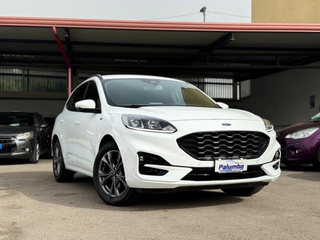 FORD Kuga 1.5 EcoBlue 120 CV aut. 2WD ST-Line