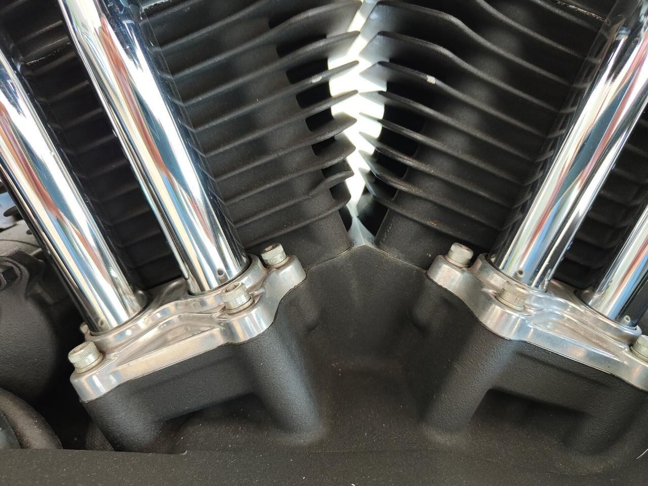 Harley-davidson 1200 Sportster Forty-Eight