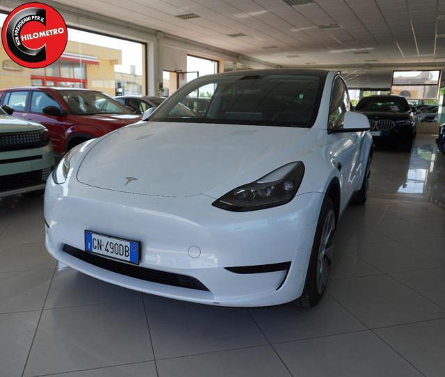 TESLA Model Y RWD