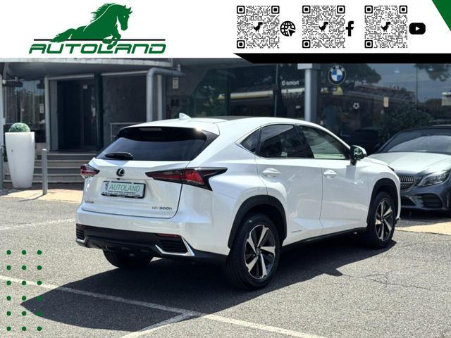 LEXUS NX 300 Hybrid 4WD Executive 155 CV