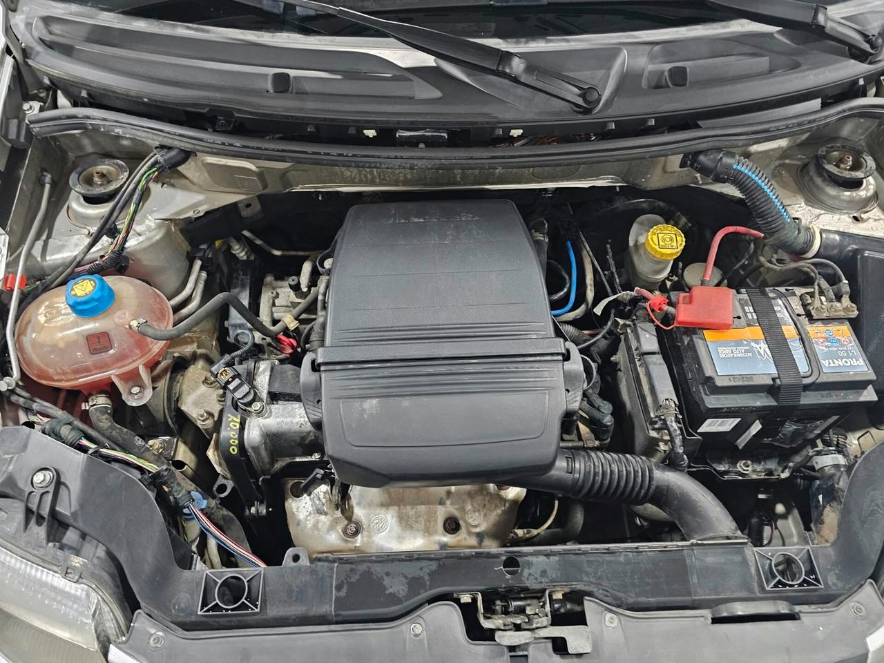 NUOVA FIAT PANDA EMOTION 1.2 BENZ 60CV - AUTO COME NUOVA