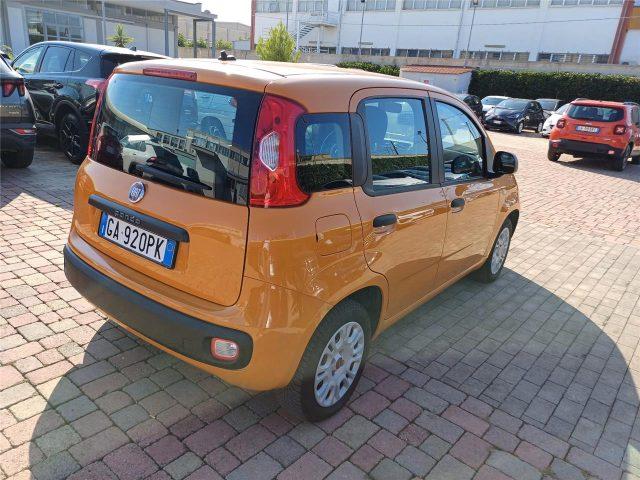 FIAT Panda 3ª serie 1.2 EasyPower Easy