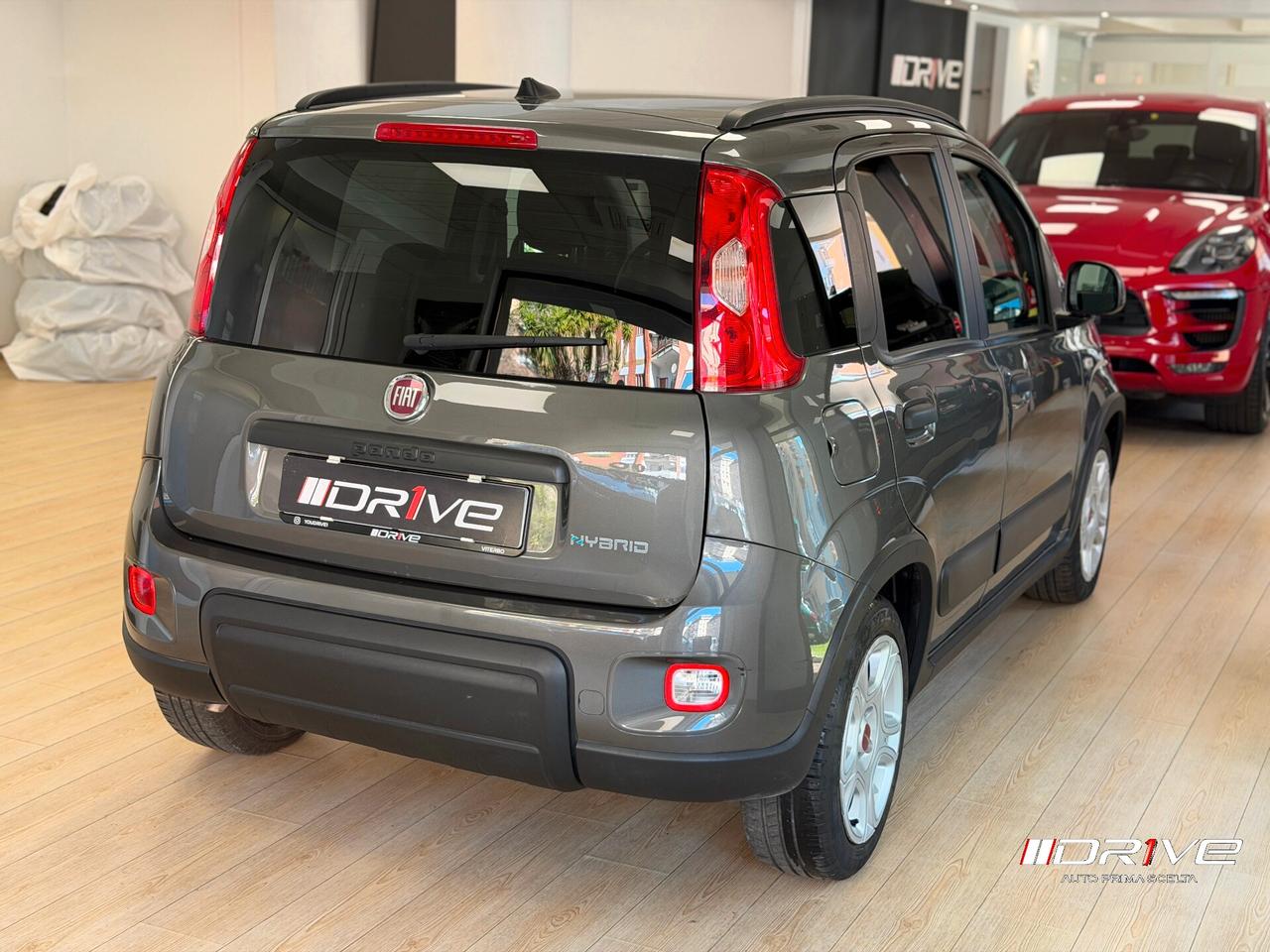 FIAT Panda 3ª serie Panda 1.0 FireFly S&S Hybrid