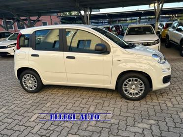 FIAT Panda 1.0 HYBRID +PACK ICON KM 0