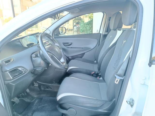 LANCIA Ypsilon 1.2 69 CV 5 porte Elefantino