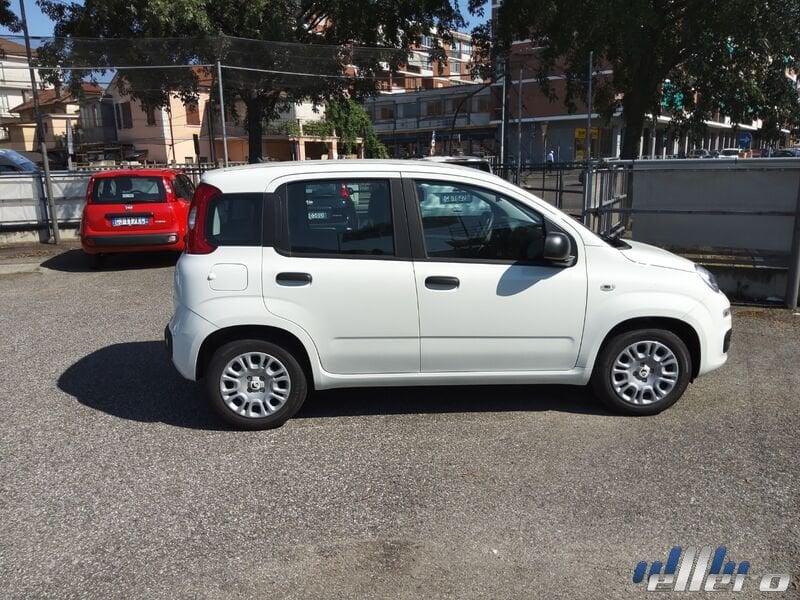 FIAT Panda MY25 1.0 70cv Hybrid