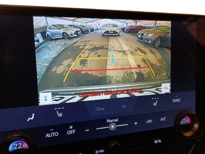 Lexus NX NX Hybrid 4WD Premium