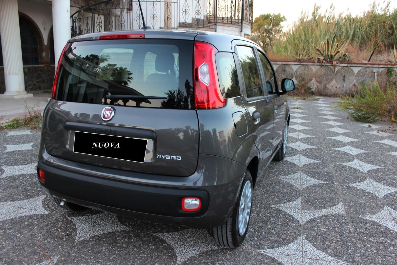 Fiat Panda 1.0 FIREFLY HYBRID CITY LIFE S UFFICIALE ITALIANA