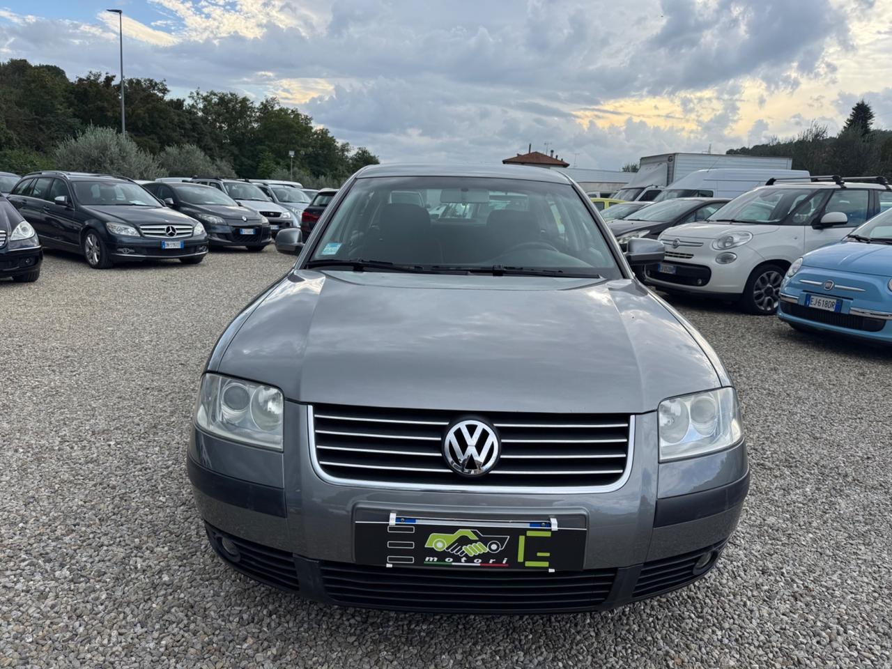Volkswagen Passat 1.9 TDI/101 CV cat Business