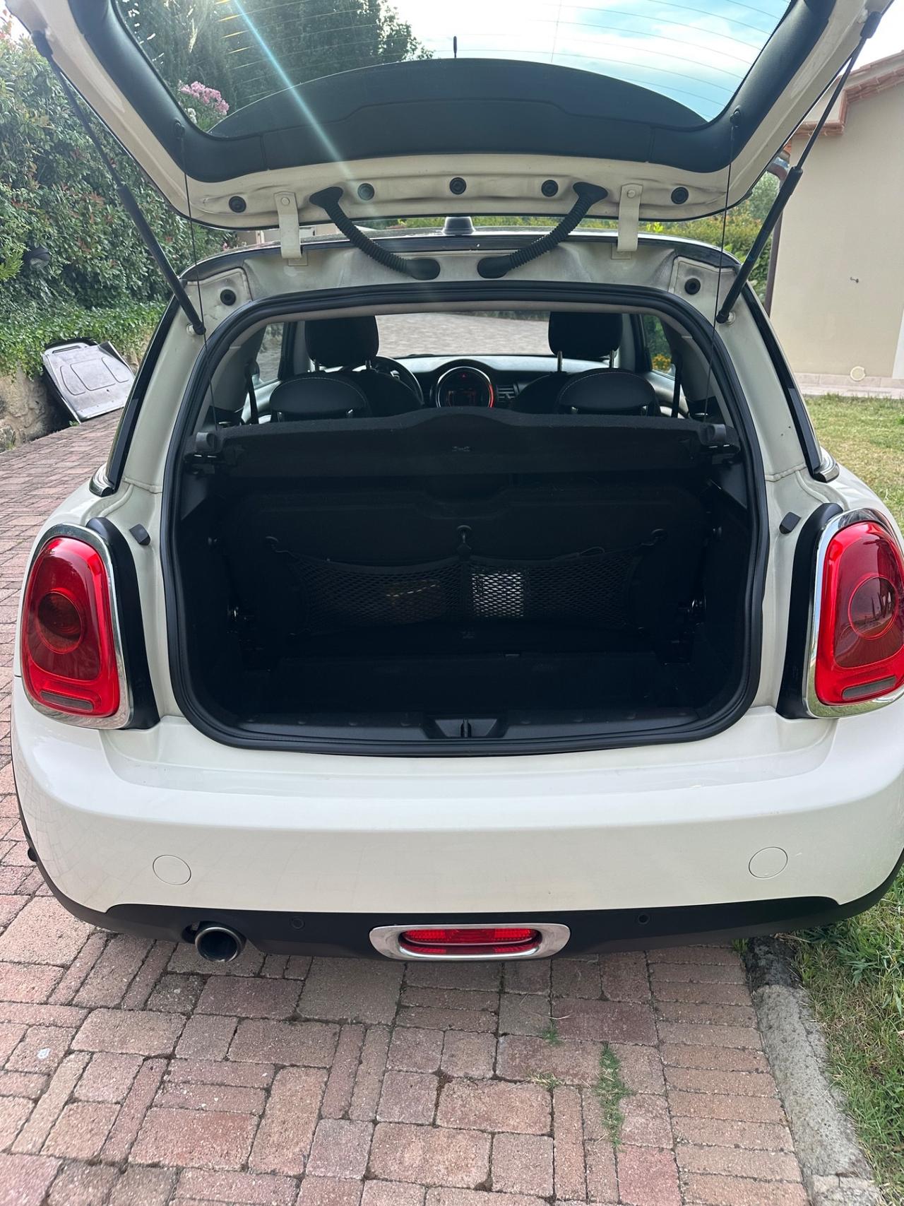 Mini 1.5 One D