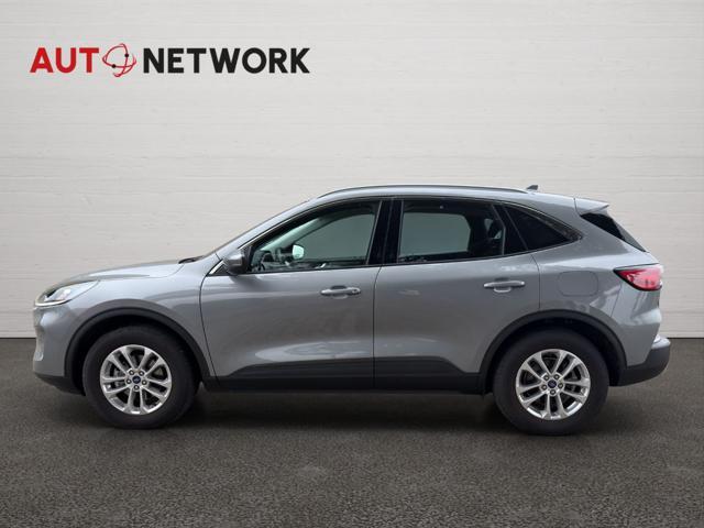 FORD Kuga 2.0 EcoBlue Hybrid 150 CV 2WD Titanium Business