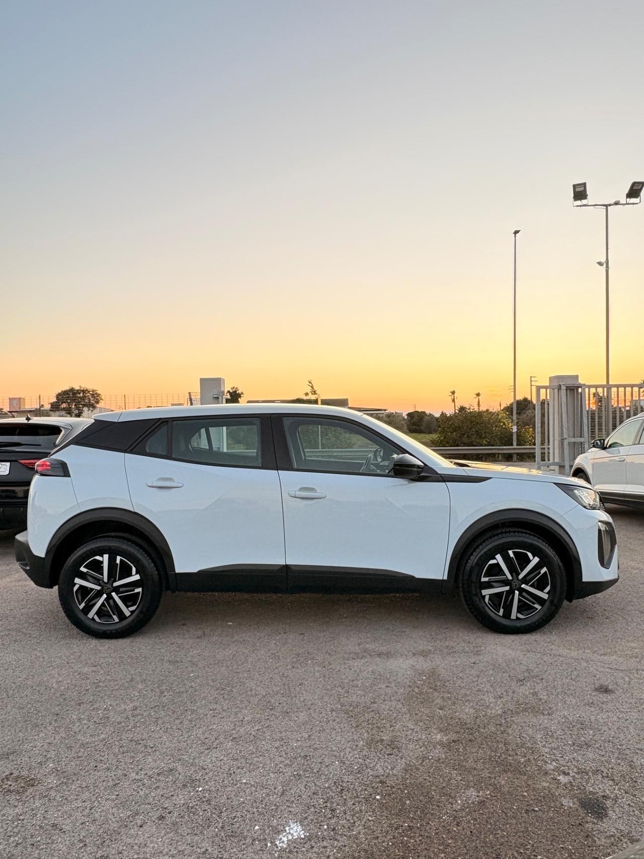 Peugeot 2008 PureTech 100 S&S Active