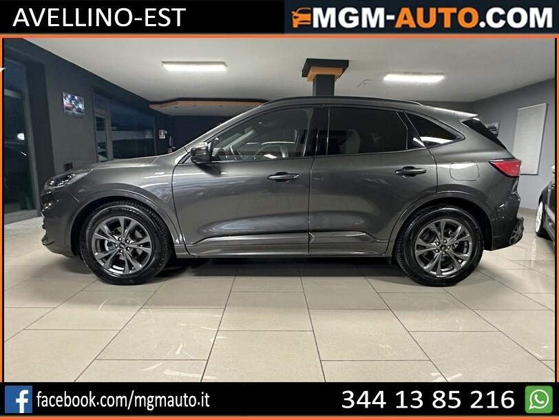 Ford Kuga 1.5 EcoBlue 120 CV aut. 2WD ST-Line X