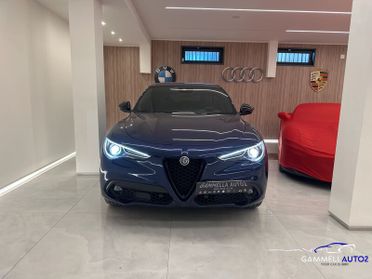 Alfa Romeo Stelvio Stelvio 2.2 Turbodiesel 210 CV AT8 Q4 Veloce