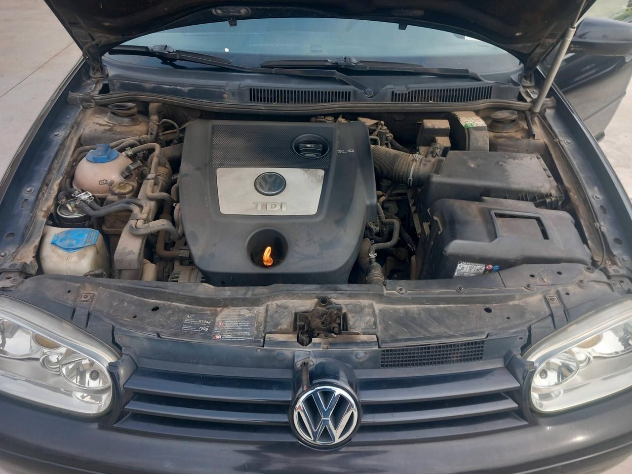 Volkswagen Golf 1.9 TDI/130 CV cat 5p. H.line Plus