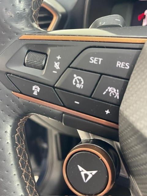 Cupra Formentor 2.0 TSI 4Drive DSG VZ Launch Edition