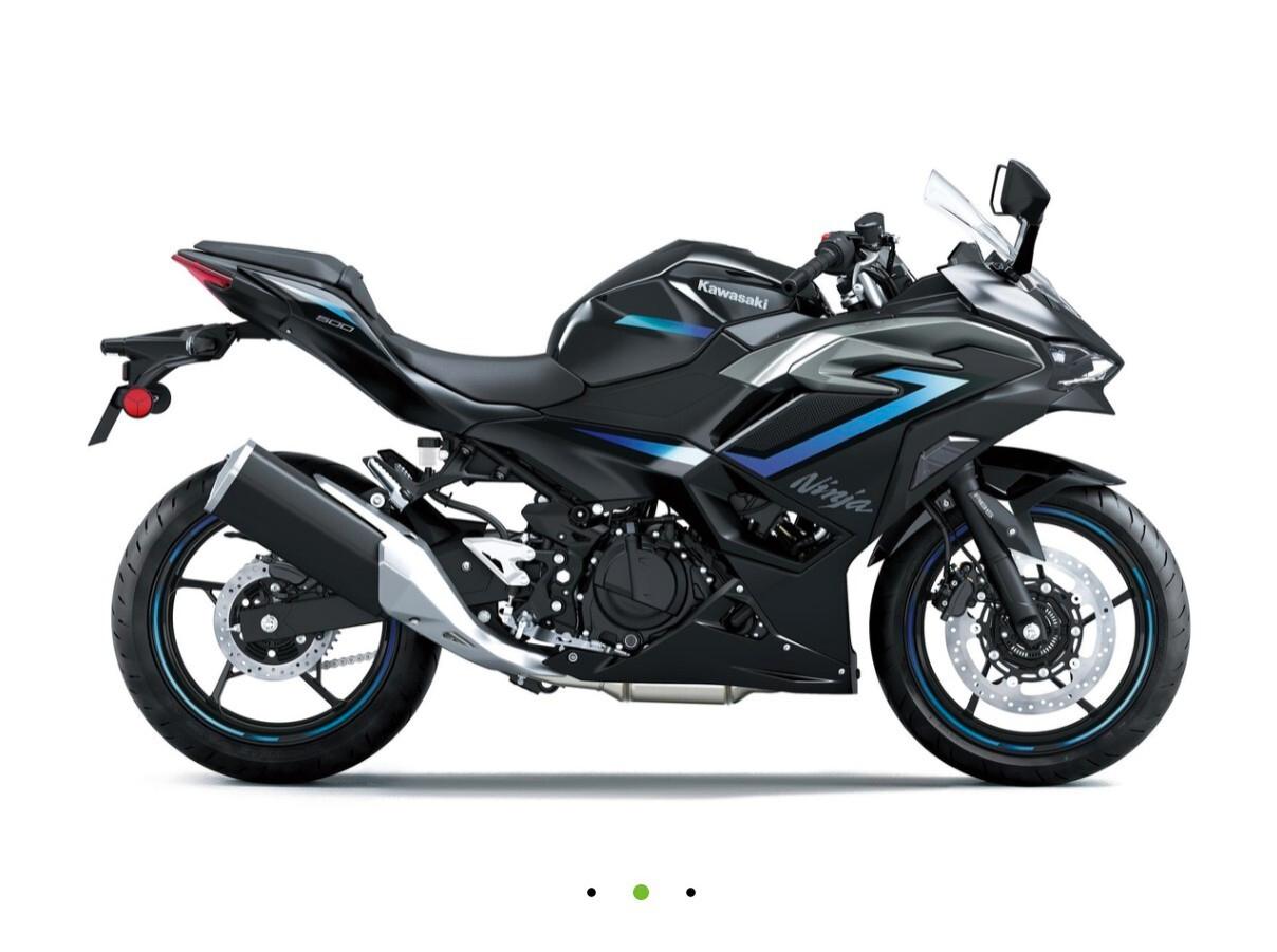 Kawasaki Ninja 500 SE