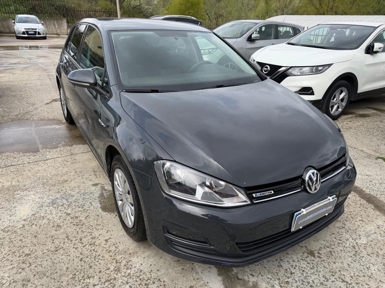 Volkswagen Golf 1.4 TGI 5p. Trendline BlueMotion