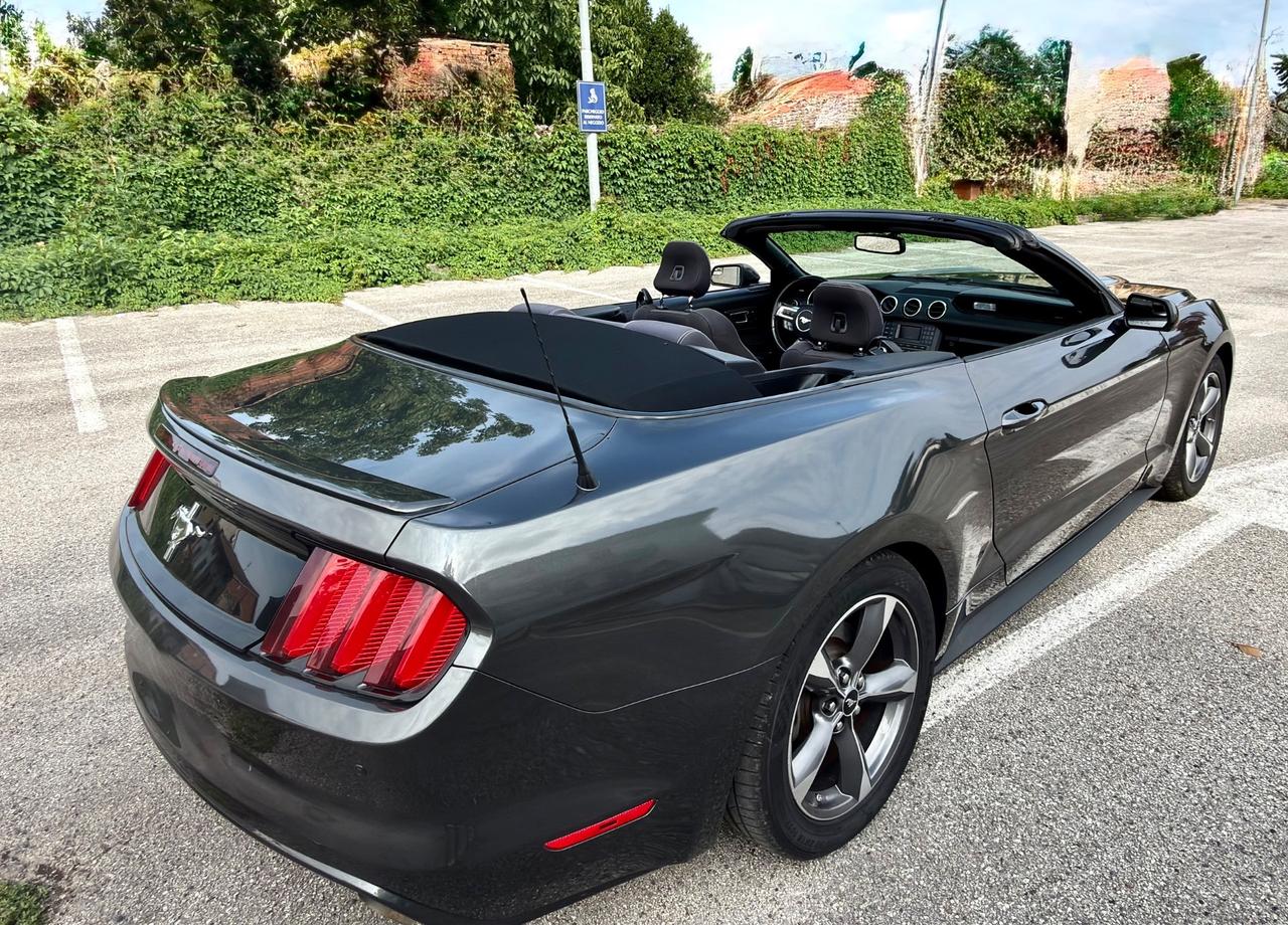 Ford Mustang America