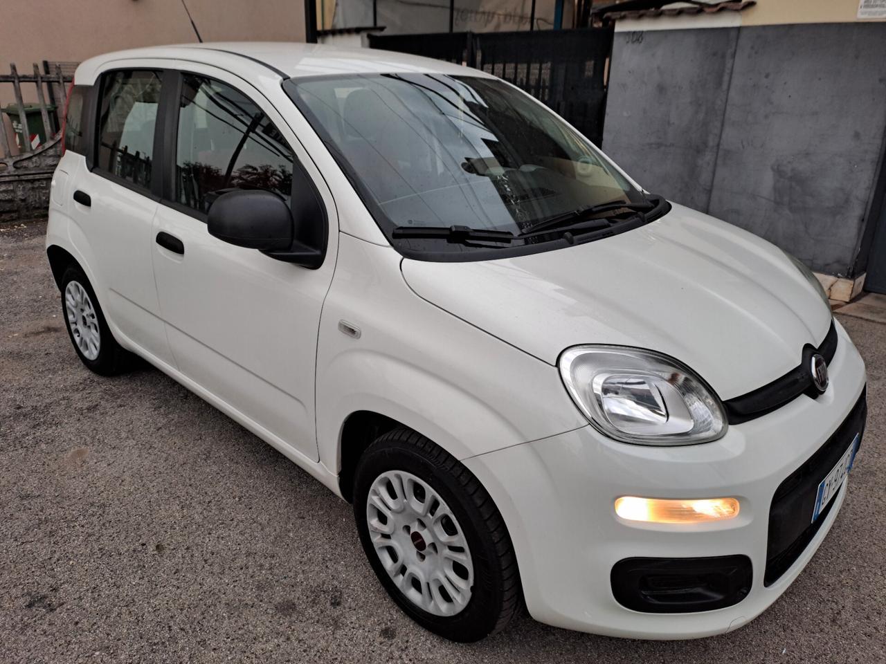 FIAT PANDA 1.2 69CV Easy - OK NEOPATENTATI