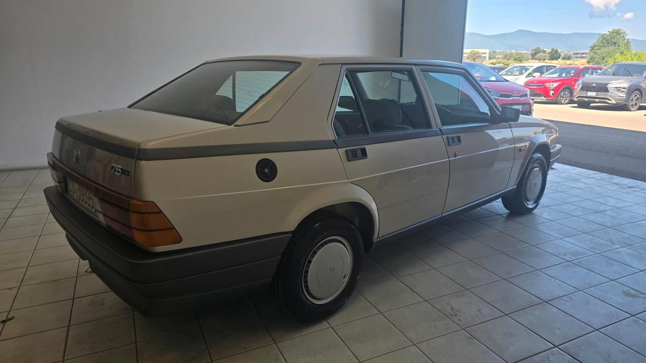 Alfa Romeo 75 1.8 carburatori Perfetta