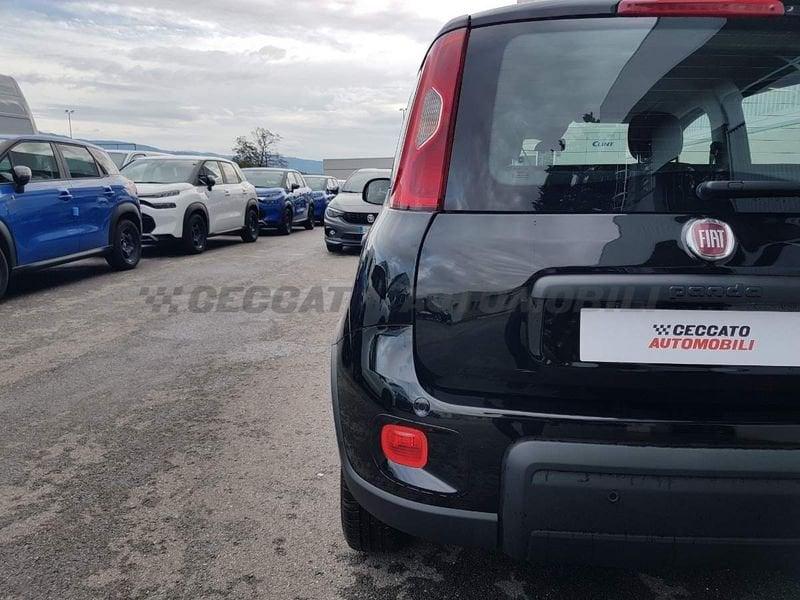 FIAT Panda 1.0 70cv Hybrid Panda