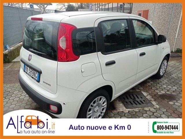 FIAT Pandina 1.0 FireFly 65CV Hybrid Icon (5 Posti)