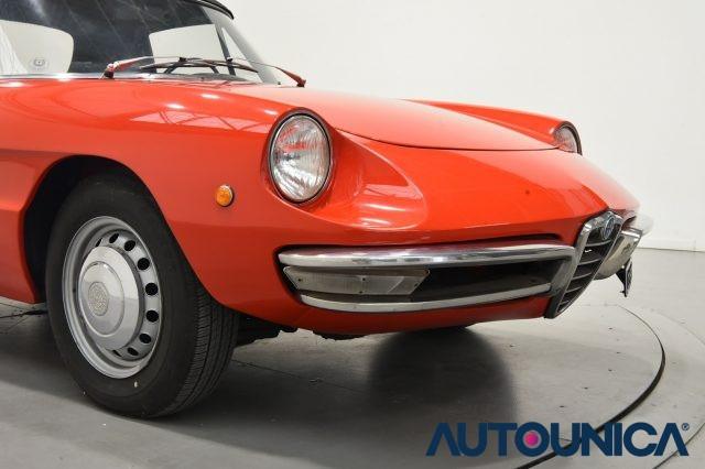 ALFA ROMEO Spider 1300 JUNIOR OSSO DI SEPPIA ASI TARGA ORO