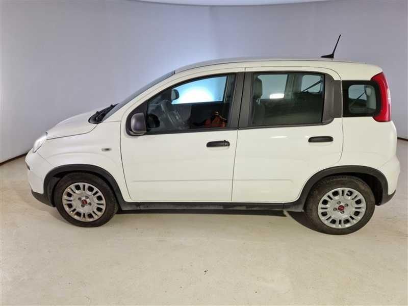 FIAT PANDA 1.0 FireFly 70cv S/S Hybrid 5 PORTE