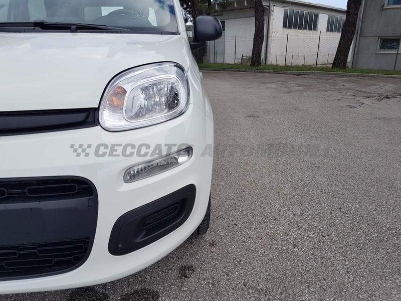 FIAT Panda Panda 1.0 70cv Hybrid Pop